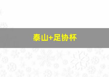 泰山 足协杯